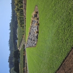 Dry Creek Bed