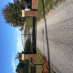 Custom Single Swing gate