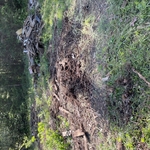 debris removal