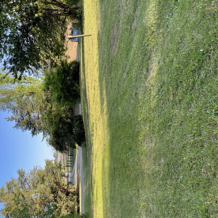 Lawn care