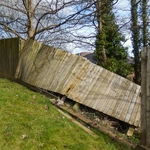Fence Removal