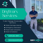 DryWorx Services