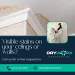 Visible stains on your ceilings or walls?