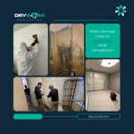 Water damage and mold remediation.