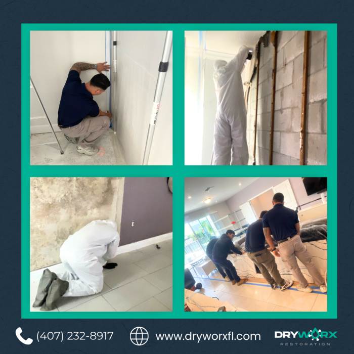 Water damage and mold remediation.