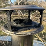 Dirty Cap
