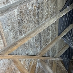 Mold In Attic