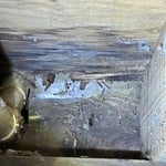 Mold In Crawlspace