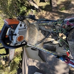 Top of tree by house