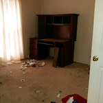 Move out cleaning