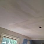 Blue ash