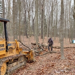 Land Clearing