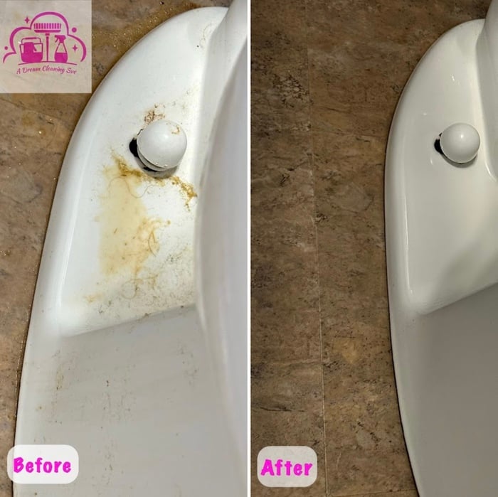 Toilet Cleaning