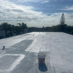 Roof paint and seal