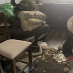 Junk Removal