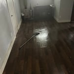 Junk Removal