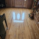 Steam clean wood floors