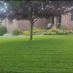 Grass Mowing