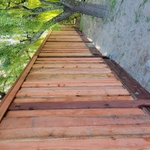 Redwood Fence