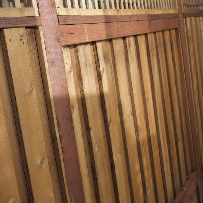 Privacy Fence