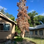 Hazard Tree