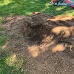 Stump grinding