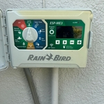 Replaced Sprinklers Head