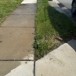 Replaced Sprinklers Head