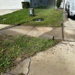 Replaced Sprinklers Head