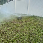Replaced Sprinklers Head