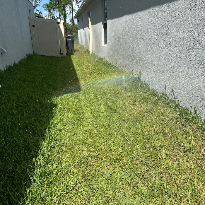 Replaced Sprinklers Head