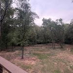 Land clearing