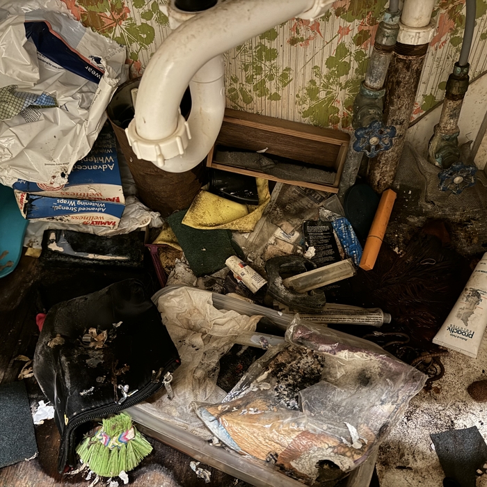 VANITY CLEANOUT