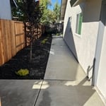 concrete, gravel, and plants