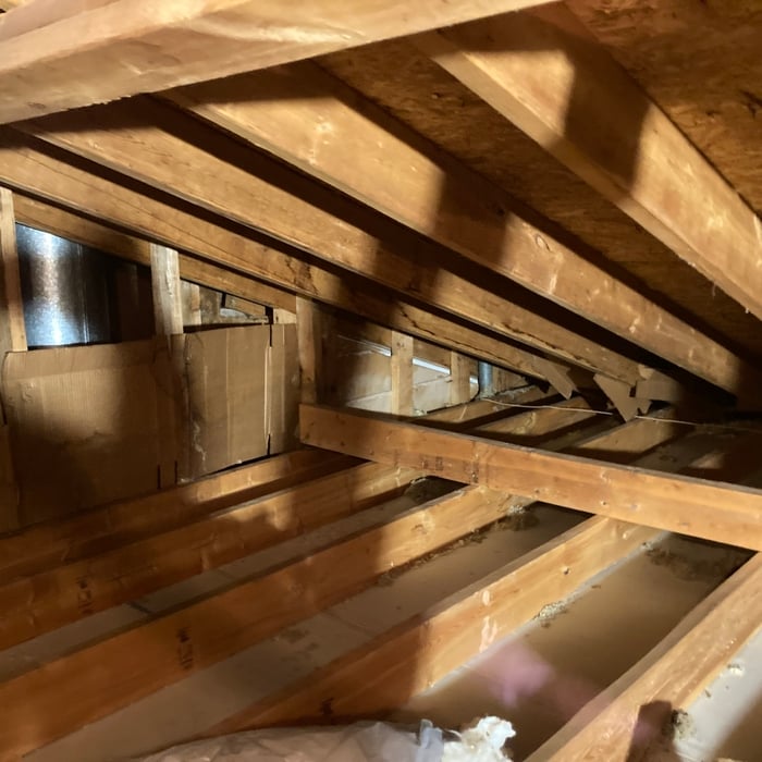 Attic Clean Out - Tap Insulation Job