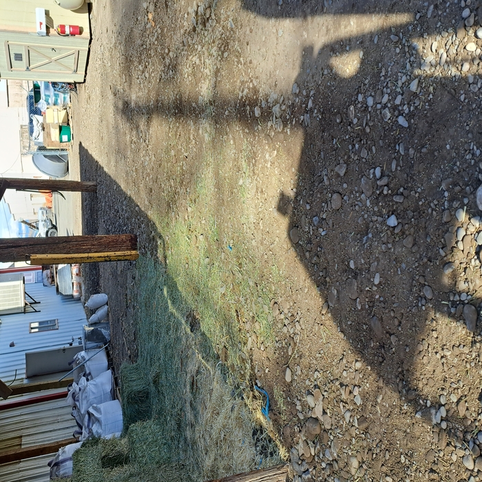 Water line replacement
