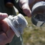 Disposing of bugs