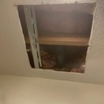 Bathroom Ceiling
