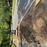 Stump(2) removed