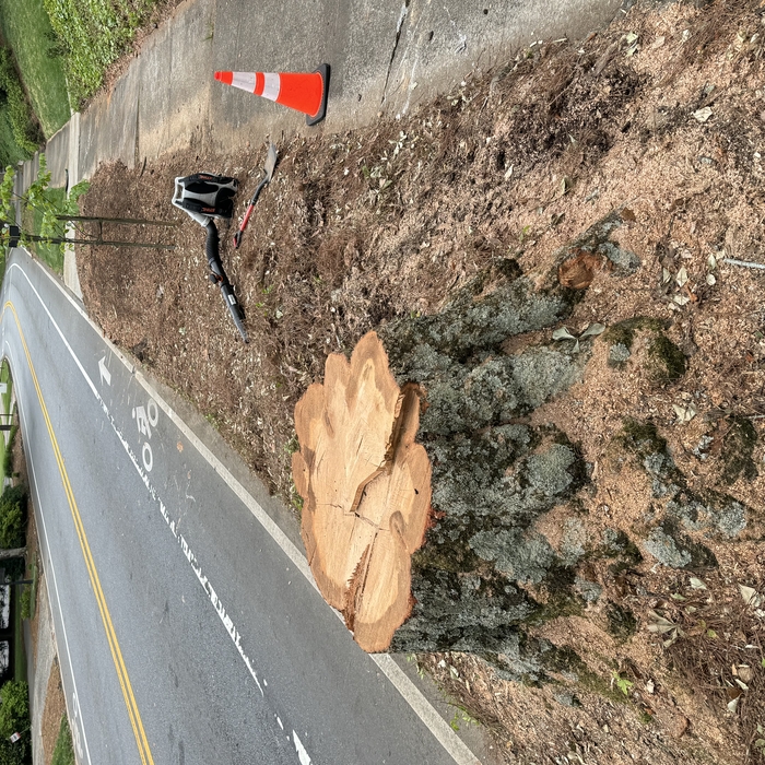 Stump(1)