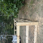 Mr. Ed’s Dog Fence