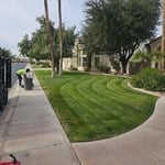 Lawn maintenance service