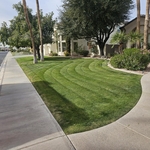 Lawn maintenance service