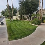 Lawn maintenance service