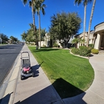 Lawn maintenance service