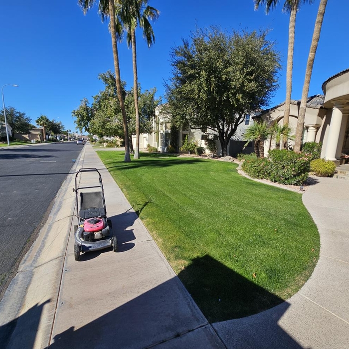 Lawn maintenance service