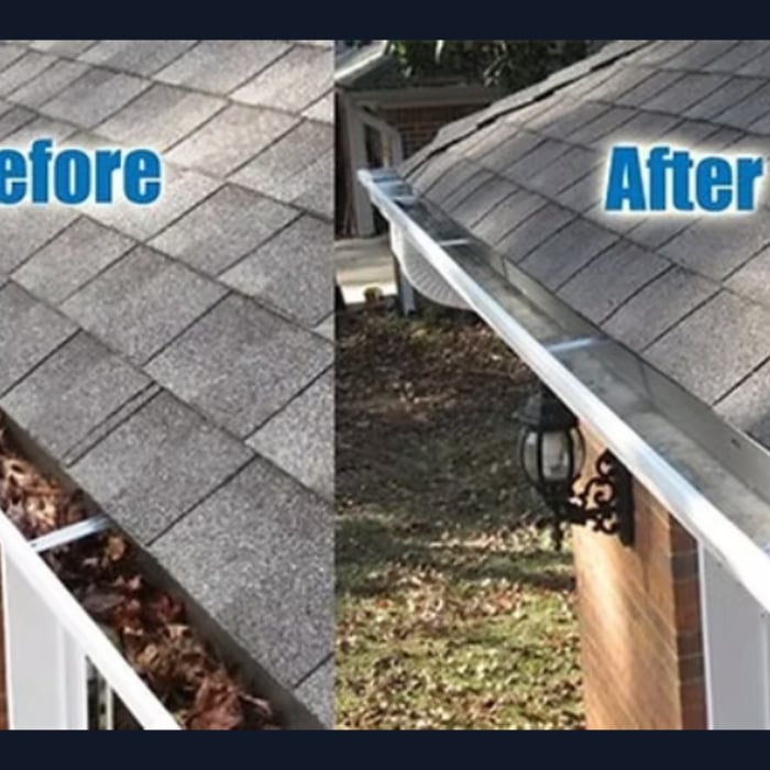Gutter Cleaning