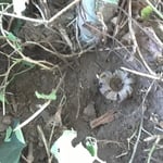 Iron Pipe