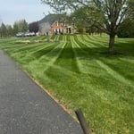 Lawn care