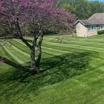 Lawn care